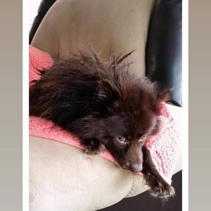 Meet your Posher, Lori